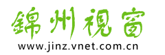 锦州视窗logo